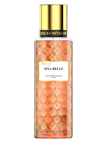 Gris Montaigne Paris Mya Belle