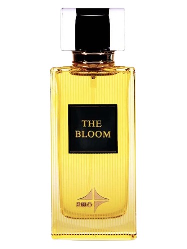 Reeh Al Madinah The Bloom