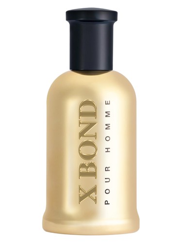 Louis Olivier X Bond Gold