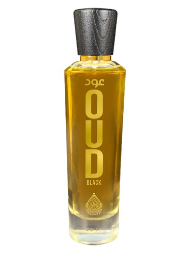 House of Perfumes Oud Black