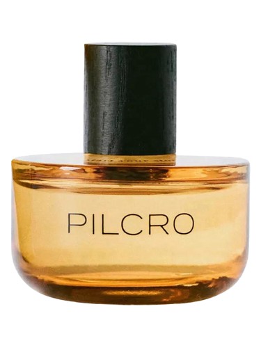 Anthropologie Pilcro