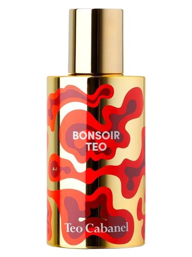 Teo Cabanel Bonsoir Teo