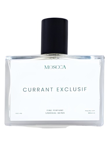 Currant Exclusif Moscca