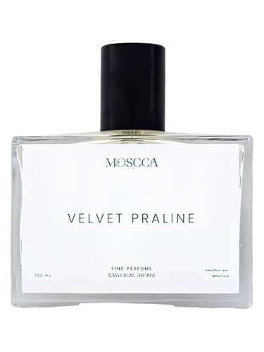 Velvet Praline Moscca