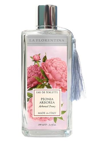 Peonia Arborea La Florentina