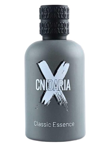 Cnidaria X Classic Essence Samam