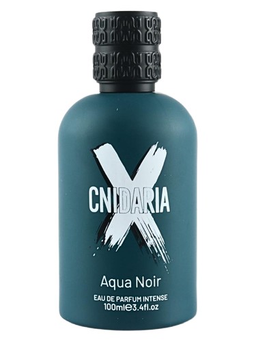 Cnidaria X Agua Noir Samam