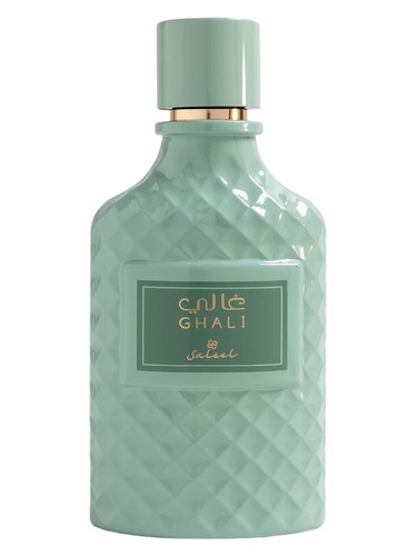 Ghali Saleel