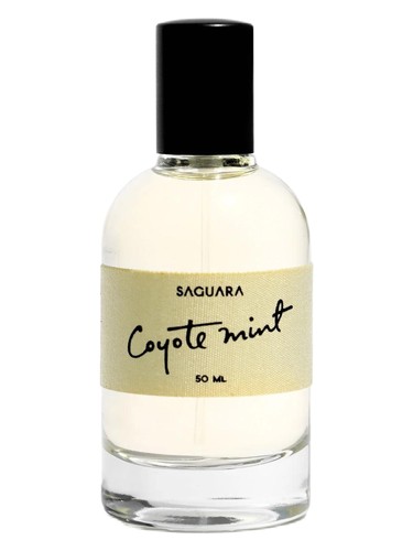 Coyote Mint Saguara