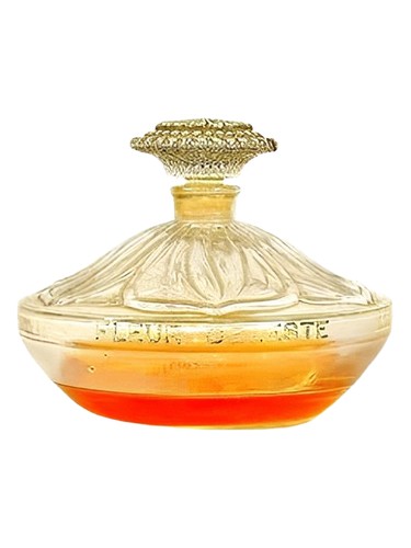 Fleur Celeste Vigny