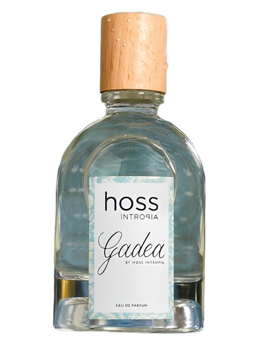 Gadea Hoss Intropia
