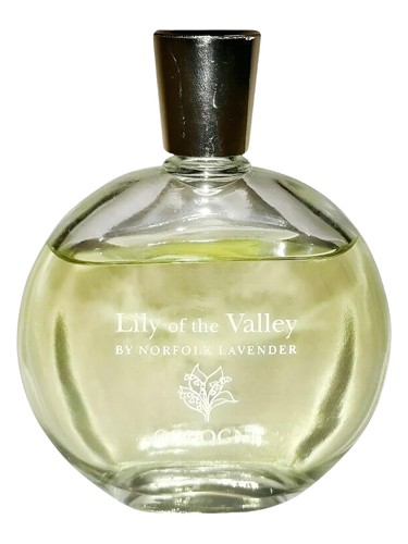 Lily of the Valley Norfolk Lavender