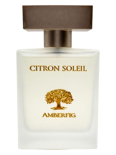 Citron Soleil Amberfig