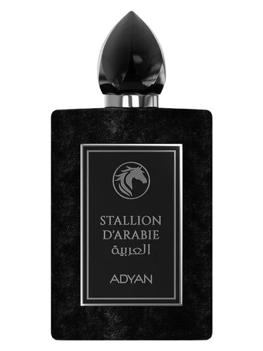 Stallion D'Arabie Adyan by Anfar