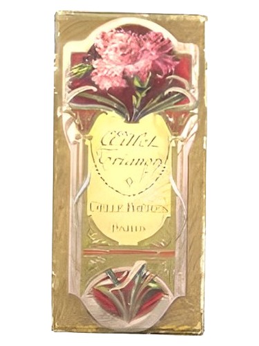 Oeillet Trianon Gelle Freres