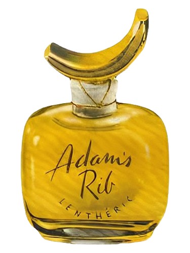 Adam's Rib Lentheric