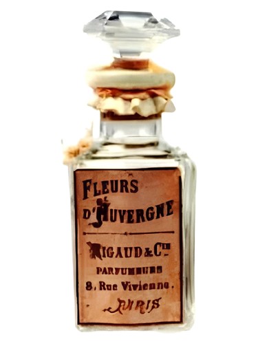 Fleurs d'Auvergne Rigaud