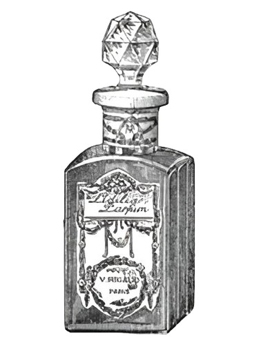 تصویر عطر Lidilia