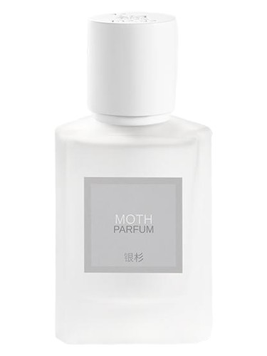 Moth 蛾 Maison Shan 银杉