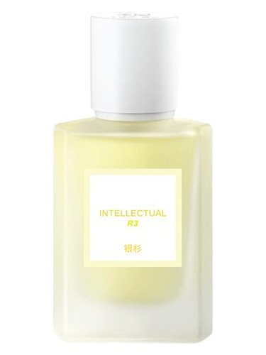 Intellectual 高知 Maison Shan 银杉