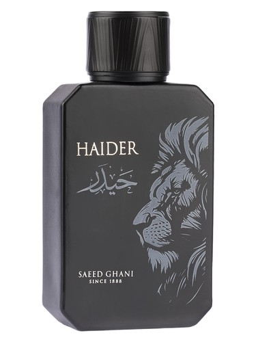 Haider Saeed Ghani