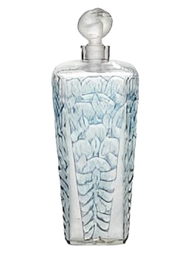 تصویر عطر Glycine