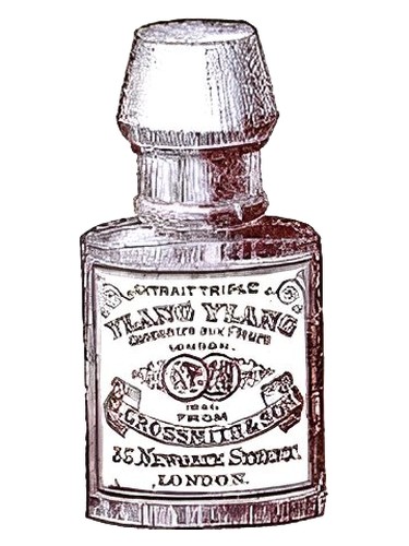 Ylang Ylang Grossmith