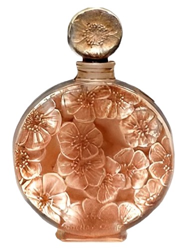 Chypre Ambre Volnay