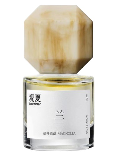 Magnolia To Summer | 观夏