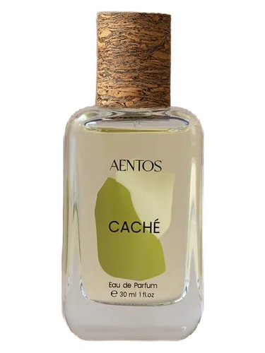 Caché 枝节光 AENTOS