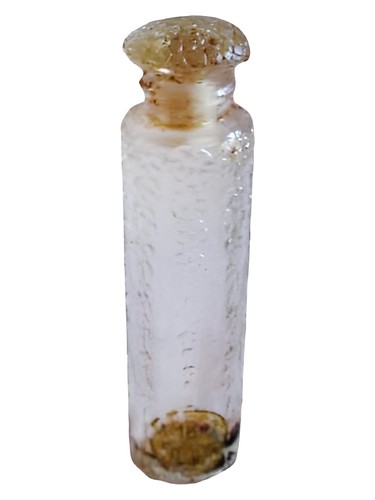 Ambre Parfums Forvil