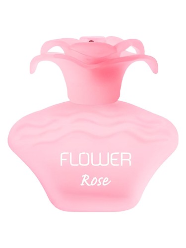 Flower Rose Fragancias Cannon
