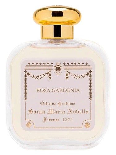 Rosa Gardenia Santa Maria Novella