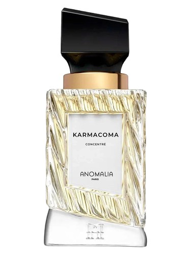 Karmacoma Anomalia Paris