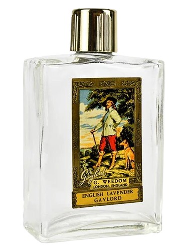 Gaylord English Lavender by G. Weedom