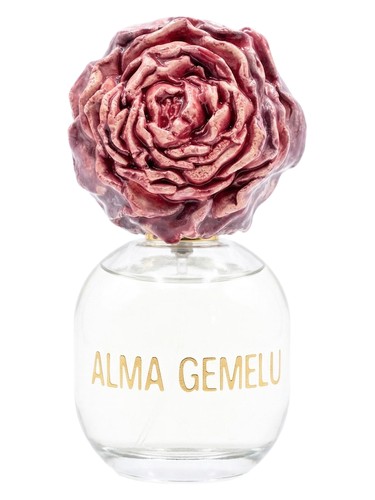 Rosa di Fiore Alma Gemelli