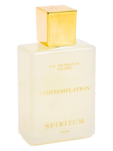 Contemplation Spiritum