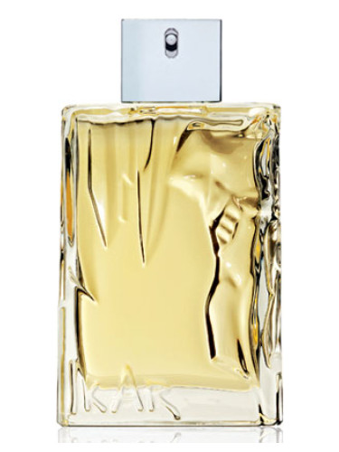 Eau d'Ikar Sisley cologne - a fragrance for men 2011