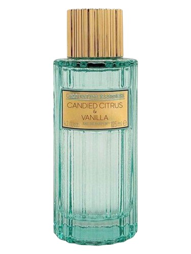Candied Citrus & Vanilla Captivating Essences