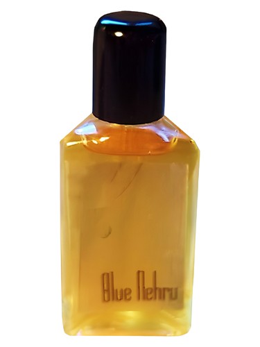 Blue Nehru Robbie VanGogh for men