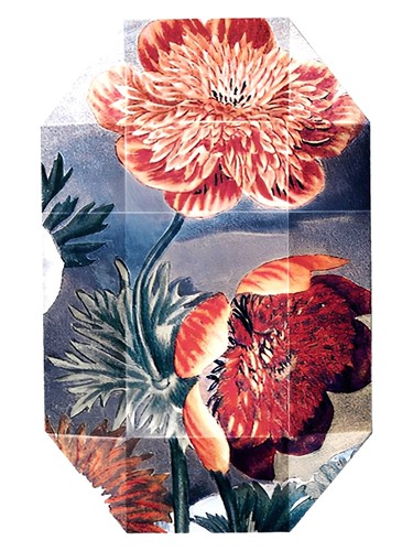 Stella McCartney Print Collection Stella 03 2011