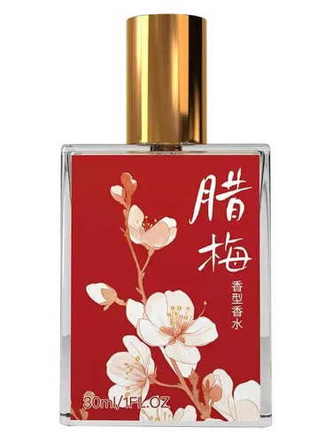Wintersweet 腊梅 芭蕾 Ballet