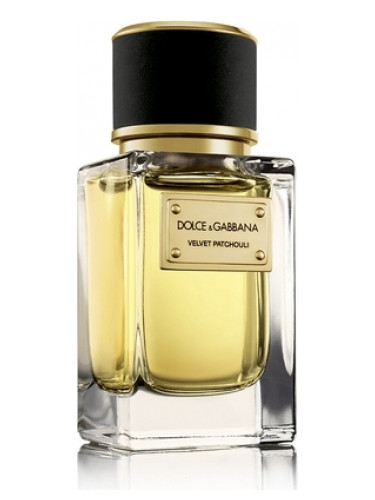 Velvet Patchouli Dolce&Gabbana perfume - a fragrance for women and men 2011