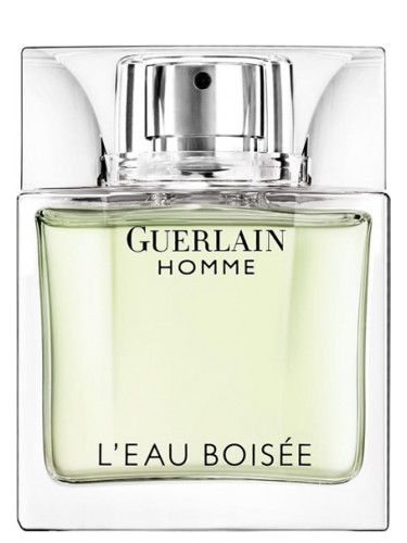 gentleman boisée eau de parfum