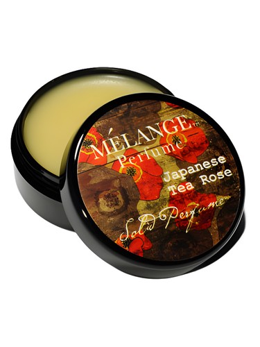 Japanese Tea Rose by Mélange