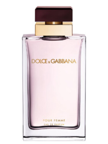 dolce & gabbana perfume women's