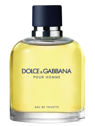 dolce and gabbana cologne pour homme