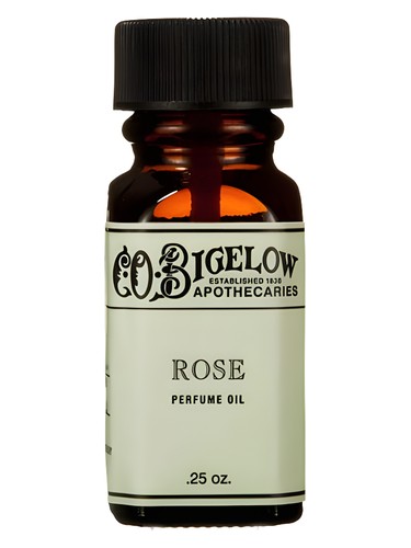 Rose by C.O. Bigelow