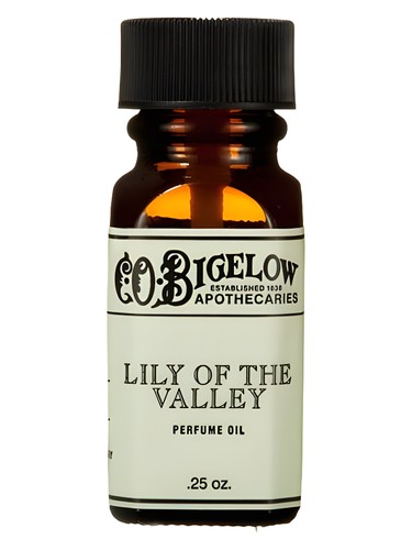 Lily of the Valley by C.O. Bigelow