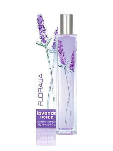 Lavenda Herba Mayfair